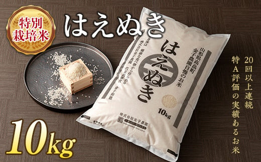 ≪2025年先行予約≫令和7年度 山形県 高畠町産 金子農園 厳選米【匠】 特別栽培米 はえぬき10kg（農薬・化学肥料5割以上削減）精米 白米 米 お米 ブランド米 ごはん ご飯 F21B-389