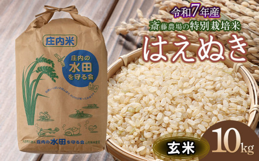 【令和7年産先行予約】 斎藤農場の特別栽培米 はえぬき 玄米 10kg(10kg×1袋) 山形県鶴岡市 K-759 1954699 - 山形県鶴岡市