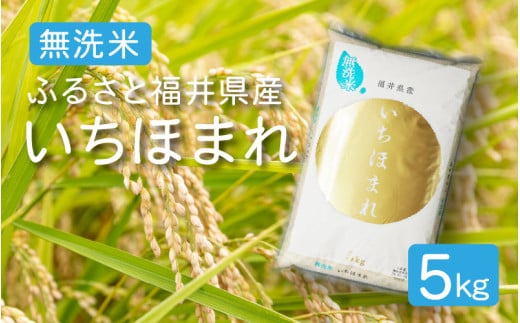 [051-a004] 令和６年度産 無洗米 ふるさと福井県産 いちほまれ 精米 5kg （無地のし対応可）【米 お取り寄せ ギフト 贈り物 お中元 プレゼント】 260361 - 福井県敦賀市