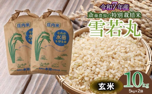 【令和7年産先行予約】 斎藤農場の特別栽培米 雪若丸 玄米 10kg(5kg×2袋) 山形県鶴岡市 K-769 1954700 - 山形県鶴岡市