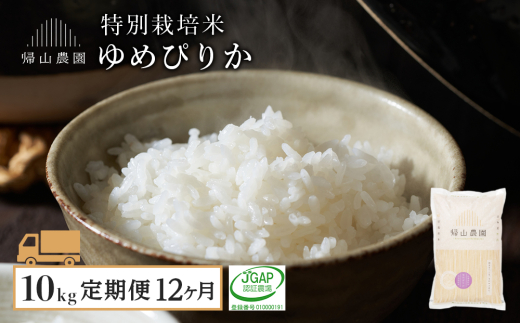 【令和7年産新米予約】【12ヵ月定期便】「ゆめぴりか 10kg」特別栽培米産地直送《帰山農園》 287804 - 北海道知内町