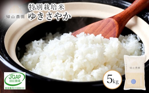 【令和7年産新米予約】 特別栽培米産地直送「ゆきさやか5kg」 《帰山農園》 430687 - 北海道知内町