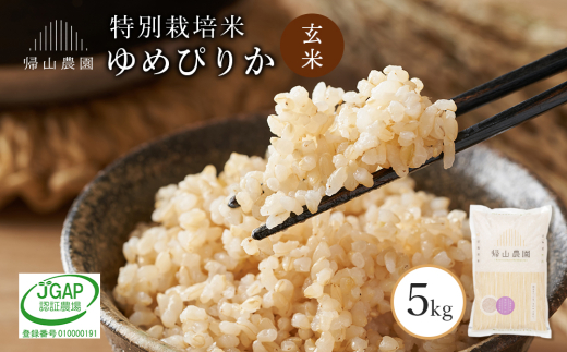 【令和7年産新米予約】 ゆめぴりか 5kg特別栽培米産地直送《帰山農園》 1346601 - 北海道知内町