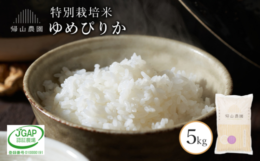 【令和7年産新米予約】「ゆめぴりか5kg」特別栽培米産地直送《帰山農園》 429954 - 北海道知内町