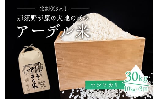 【令和6年産米】『定期便3ヶ月』那須野が原の大地の恵み アーデル米（コシヒカリ1袋10kg）＜出荷開始：2024年10月下旬～＞ ns061-002 701543 - 栃木県那須塩原市