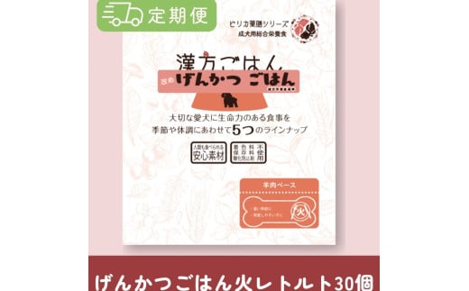 【定期便】漢方ごはん改めげんかつごはんレトルト『火』30個（30個×5回） 1956467 - 北海道札幌市