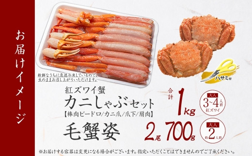 お届けイメージです。
