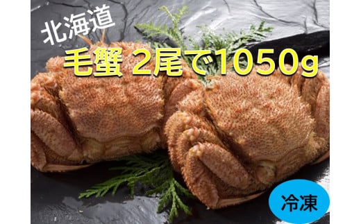 【通年】活ゆで毛蟹（Ｌ）2尾で計1050 g【冷凍】国産 北海道産 かに 毛蟹 毛ガニ 毛がに