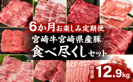 6か月 お楽しみ 定期便 宮崎牛 宮崎県産豚 食べ尽くし セット 総重量12.9kg 数量限定 6回 肉 牛肉 豚肉 国産 食品 黒毛和牛 小分け ロース 豚バラ 小間切れ スライス 焼肉 しゃぶしゃぶ すき焼き おかず 冷凍 おすすめ ギフト 宮崎県 日南市 送料無料_O3-24