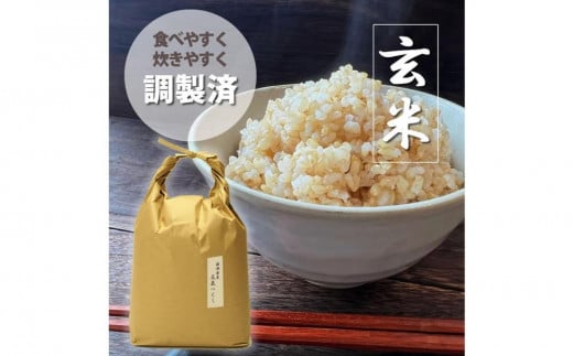 福岡県産【特A】評価のお米「元気つくし」5kg×1袋 5kg [玄米]