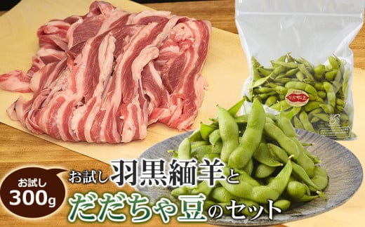 [令和7年産先行予約]お試し羽黒緬羊300gとだだちゃ豆のセット 肉バルYAKU禄