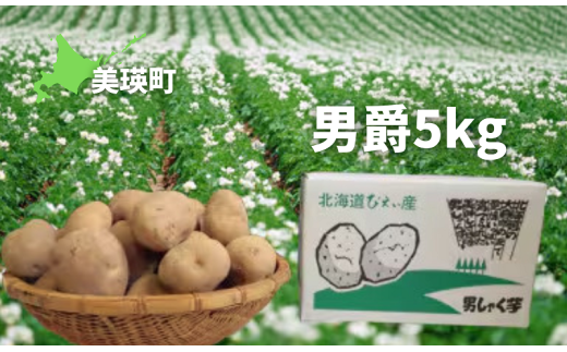 ≪令和７年産予約受付！≫おおとり 男爵5kg | ふるさと納税 人気 おすすめ ランキング 旬 じゃがいも 芋 ジャガイモ  いも イモ 新鮮 鮮度抜群 野菜 ベジタブル おいしい 健康 北海道 美瑛町 送料無料［0075-03］