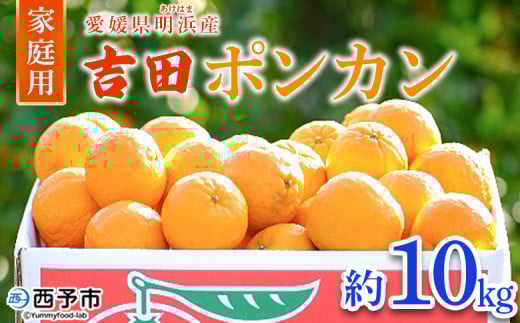 ＜愛媛県明浜産 吉田ポンカン 家庭用 約10kg＞ 果物 くだもの フルーツ みかん ミカン 柑橘 吉田ぽんかん よしだぽんかん ヨシダポンカン 訳あり ご自宅用 特産品 愛媛県 西予市【常温】 298336 - 愛媛県西予市