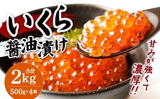 イクラ 醤油漬け 500g×4箱 鱒いくら 計2000g いくら 491708 - 福岡県北九州市