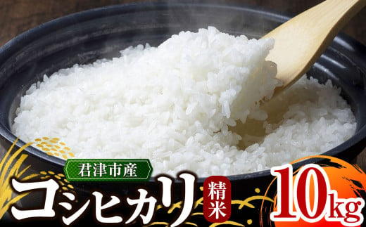 ＼ 3週間以内に発送! ／【 令和6年産 】 君津市産 コシヒカリ 10㎏ （ 精米 )  野口農園 | 10キロ 米 コメ こめ お米 こしひかり コシヒカリ 有機肥料 減農薬栽培 新鮮 学校給食 オススメ 千葉県 君津市 きみつ 1962303 - 千葉県君津市