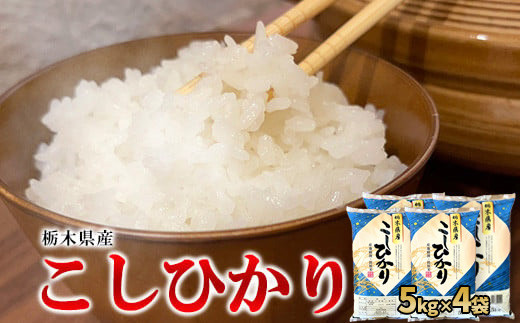【令和6年産】栃木県産こしひかり（精米・5kg×4袋）　※離島への配送不可 1490698 - 栃木県宇都宮市