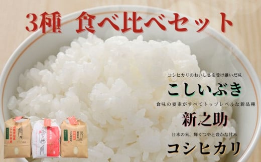 令和6年産 越後菅谷米食べ比べセット 2kg×3袋 新潟産 新発田市 米 食べ比べ セット コシヒカリ 新之助 こしいぶき 殿様米 菅谷 2kg 3袋 数量限定  867181 - 新潟県新発田市