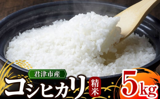 ＼ 3週間以内に発送! ／【 令和6年産 】 君津市産 コシヒカリ 5㎏ （ 精米 )  野口農園 | 5キロ 米 コメ こめ お米 こしひかり コシヒカリ 有機肥料 減農薬栽培 新鮮 学校給食 オススメ 千葉県 君津市 きみつ 1962297 - 千葉県君津市