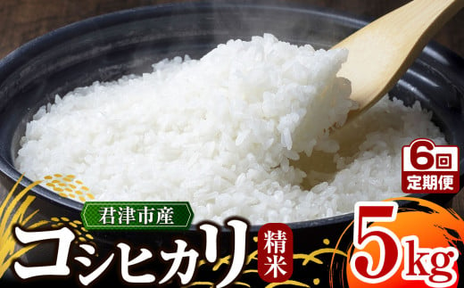 【 定期便 6ヶ月 】＼ 1回目は3週間以内に発送! ／【 令和6年産 】 君津市産 コシヒカリ 5㎏ × 6回 （ 精米 )  野口農園 | 5キロ 定期 米 コメ こめ お米 こしひかり コシヒカリ 有機肥料 減農薬栽培 新鮮 学校給食 オススメ 千葉県 君津市 きみつ 1962299 - 千葉県君津市