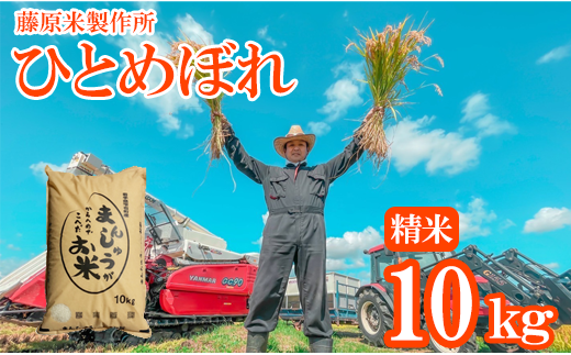 ＜令和６年産＞雫石町産「ひとめぼれ」精米 10kg 【藤原米製作所】/ 岩手県産 白米 環境保全型農業 米 276885 - 岩手県雫石町