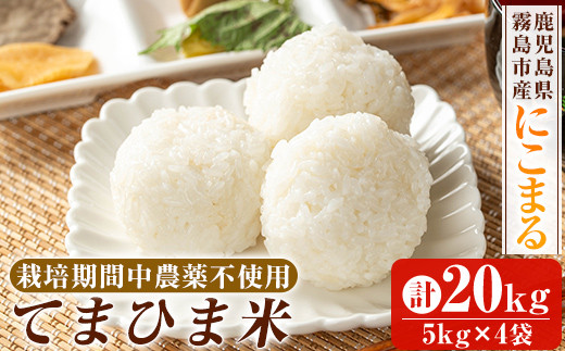 コシヒカリ 米 お米 譲り受ける 白米20kg 小分け 5kg×4袋 令和6年産