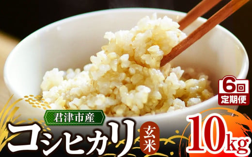 【 定期便 6ヶ月 】＼ 1回目は3週間以内に発送! ／【 令和6年産 】 君津市産 コシヒカリ 10㎏ × 6回 （ 玄米 )  野口農園 | 10キロ 定期 米 コメ こめ お米 こしひかり コシヒカリ 有機肥料 減農薬栽培 新鮮 学校給食 オススメ 千葉県 君津市 きみつ 1962308 - 千葉県君津市