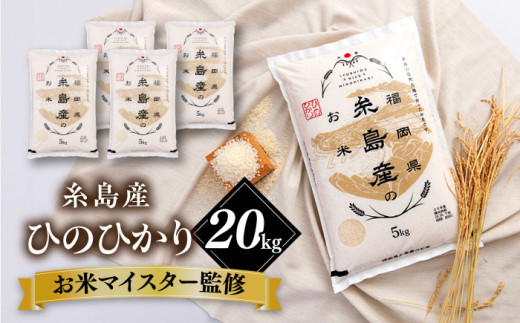 【こだわり精米】 【令和6年産】糸島産 ひのひかり 20kg(5kg×4) 糸島市 / RCF 米 お米マイスター [AVM010] 米 白米 ヒノヒカリ ひのひかり ごはん 1413721 - 福岡県糸島市