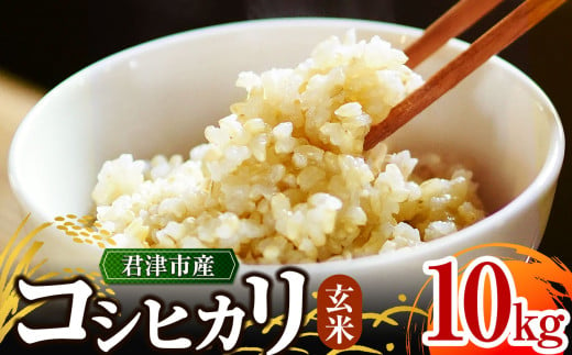 ＼ 3週間以内に発送! ／【 令和6年産 】 君津市産 コシヒカリ 10㎏ （ 玄米 )  野口農園 | 10キロ 米 コメ こめ お米 こしひかり コシヒカリ 有機肥料 減農薬栽培 新鮮 学校給食 オススメ 千葉県 君津市 きみつ 1962306 - 千葉県君津市