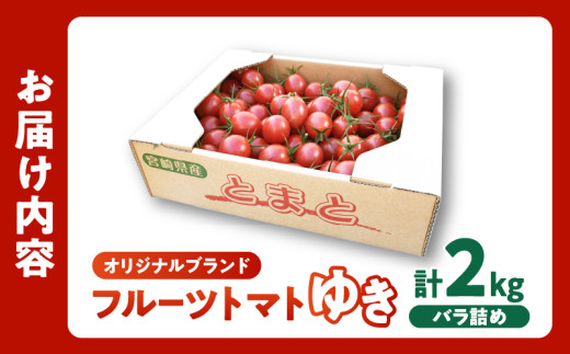 フルーツトマト 高糖度 ロッソトマト 約1kg Mサイズ 14～18個