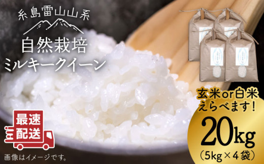 【白米】令和6年産 糸島産 ミルキークイーン 20kg 自然栽培≪糸島≫【大石ファーム】 [ATE016-1] 408647 - 福岡県糸島市