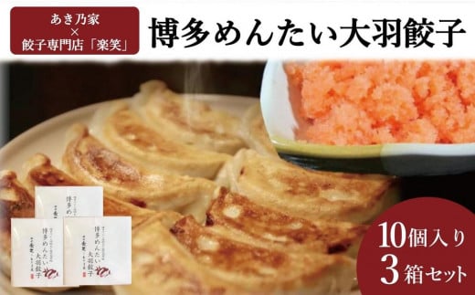 博多めんたい餃子（10個入り）3個セット