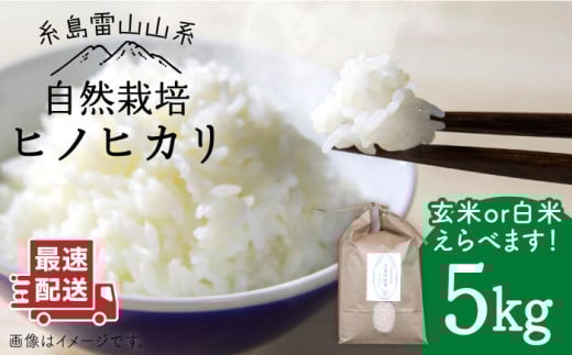 ＼令和6年産/自然栽培 ヒノヒカリ 5kg [糸島][大石ファーム] 