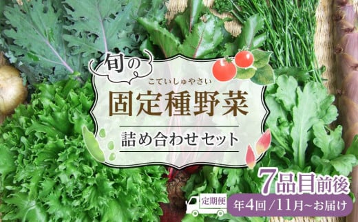 野菜［2025年先行予約 4回定期便］ 旬の固定種野菜 バイオダイナミック農業  7品目前後（11月～2月のお届け）常温配送 777515 - 岡山県岡山市