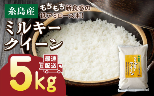 【3分搗き】【精米方法が選べる！】【令和5年産】ミルキークイーン 5kg （ 1袋 ） 《糸島》 【玄米・精米専門店 新飼宗一郎商店】 [ADE001-4] 608191 - 福岡県糸島市