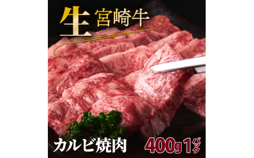 SKRKY-1-2504 ＜2025年4月発送分＞　宮崎牛カルビ焼肉（400g） 1958140 - 宮崎県串間市