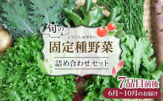 野菜［2025年先行予約］旬の固定種野菜 バイオダイナミック農業 7品目前後（6月～10月のお届け）冷蔵配送 777512 - 岡山県岡山市