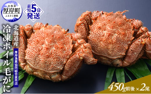 【3D冷凍】北海道産 【訳あり】冷凍ボイル毛がに 400g～450g前後×2尾セット 毛カニ 蟹 毛ガニ カニ かに [№5863-1245]