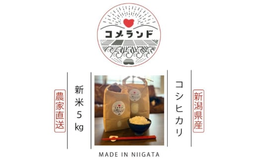 令和6年産 上越市産 コシヒカリ 5kg 新米 精米 新潟 米 新潟県 こしひかり 限定 おすすめ