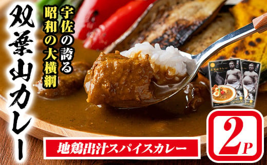 双葉山カレー(計360g・180g×2P) 鶏肉 鳥肉 とりにく とり肉 お肉 カレー チキンカレー スパイスカレー レトルト 簡単調理 常温 保存【115601100】【SFPコンサルティング】