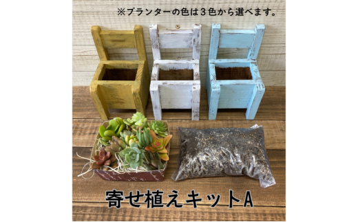 多肉植物 じぶんで植える 多肉 寄せ植えキットA 木椅子型 プランター 全3色 インテリア 植物 寄せ植え ガーデニング 福岡 小郡市 ：白色 1959891 - 福岡県小郡市