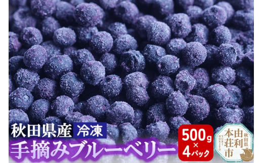 秋田県産 手摘み冷凍ブルーベリー 500g×4パック 1916733 - 秋田県由利本荘市