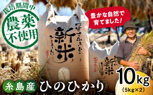 [白米]糸島産 雷山 のふもと 栽培期間中 農薬不使用 の 米 10kg(5kg×2)ひのひかり ヒノヒカリ 糸島市 / ツバサファーム[ANI002-1]