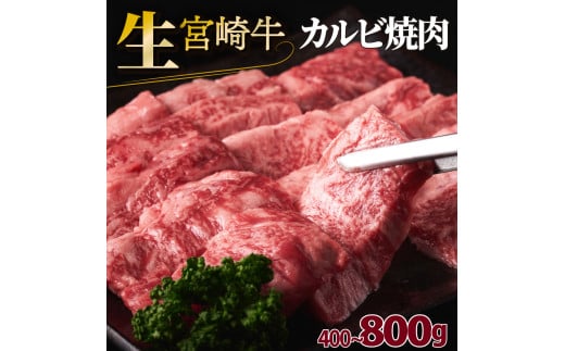 SKRKY[容量が選べる]宮崎牛カルビ焼肉(400g~800g)