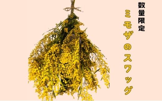 [№5695-1782]花 ＜数量限定＞ ミモザのスワッグ【3月初旬より順次発送】 生花 ドライフラワー スワッグ ハンドメイド プレゼント ※配送不可:離島