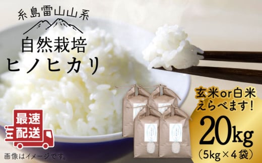 ＼令和6年産／【玄米】自然栽培ヒノヒカリ20kg《糸島》【大石ファーム】 [ATE003-2] 408650 - 福岡県糸島市