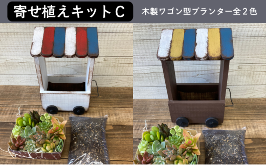 多肉植物 じぶんで植える 多肉 寄せ植えキットＣ 木製 ワゴン型 プランター 全2色 インテリア 植物 寄せ植え ガーデニング 福岡 小郡市 ：白色 1959898 - 福岡県小郡市