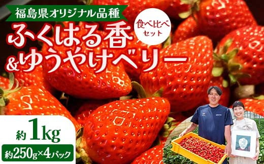 福島県オリジナル品種「ふくはる香」「ゆうやけベリー」食べ比べセット約１kg（250g×4パック） いちご イチゴ 苺 福島県 鏡石町 鏡石農遊園 F6Q-228