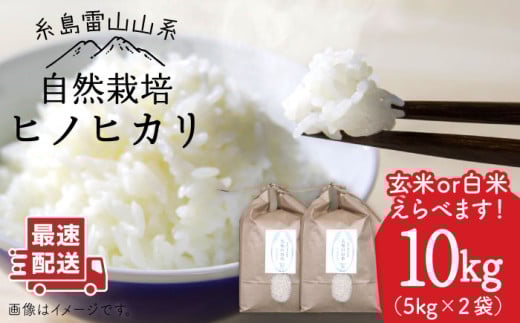 ＼令和6年産／【白米】自然栽培ヒノヒカリ10kg《糸島》【大石ファーム】 [ATE002-1] 408641 - 福岡県糸島市