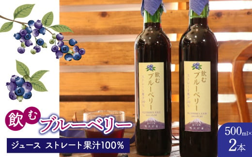 飲むブルーベリージュース500ml2本セット（ストレート果汁100％） NSAL004 1958398 - 山梨県鳴沢村