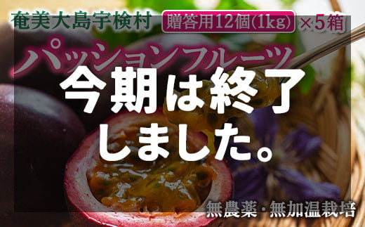 パッションフルーツ 贈答用 (12個入×5箱)【2025年先行予約】6月～出荷開始 リリコイ 果物 フルーツ デザート 人気 無農薬 無加温 南国 デザート 奄美大島 宇検村 鹿児島 512886 - 鹿児島県宇検村